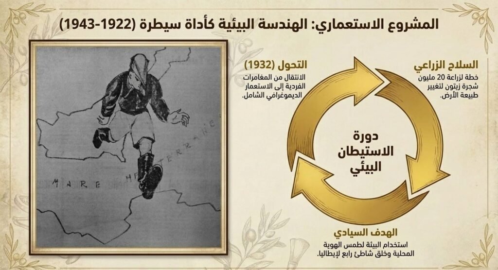 صورة7