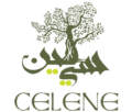https://celeneolives.com